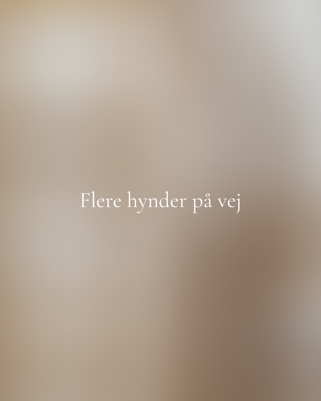 Hynder under udvikling – Dansk design, på vej i flere smukke materialer